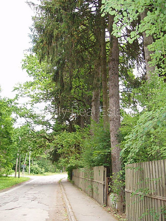 Покрытие крыши из черепицы, фасад с деревянной отделкой, территория обнесена Рижский район - изображение 10