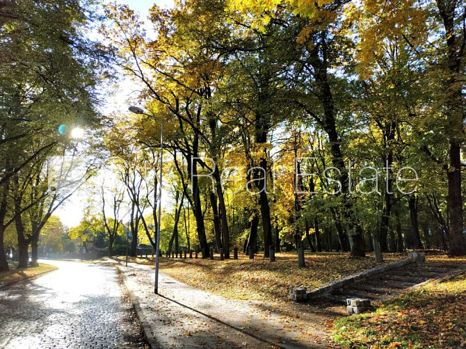 Jaunceltne, fasādes māja, labiekārtota apzaļumota teritorija, labiekārtots apzaļumots Rīga - foto 16