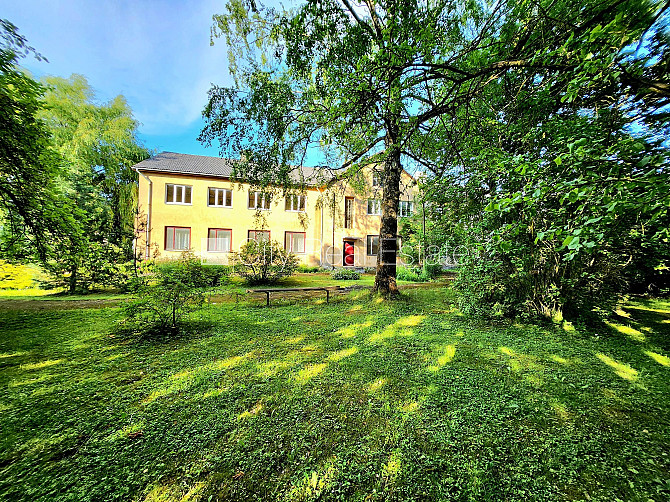 Labiekārtota apzaļumota teritorija, vieta vairākām automašīnām, teritorijas stāvlaukums Dobele un novads - foto 13