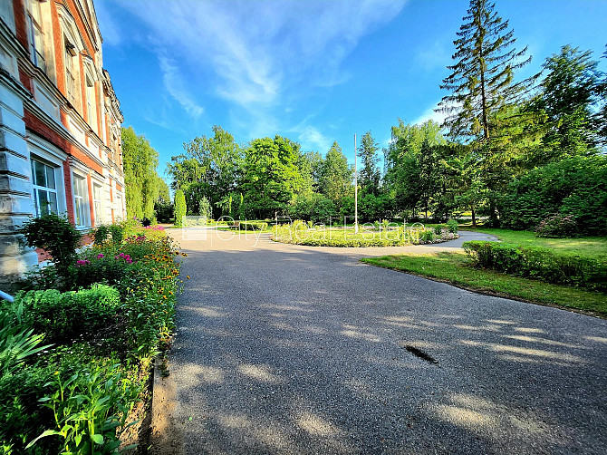 Labiekārtota apzaļumota teritorija, vieta vairākām automašīnām, teritorijas stāvlaukums Dobele un novads - foto 12