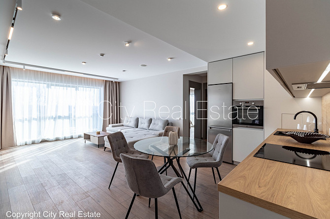 Zeme īpašumā, jaunceltne, labiekārtota apzaļumota teritorija, bruģēts piebraucamais ceļš, Rīga - foto 9