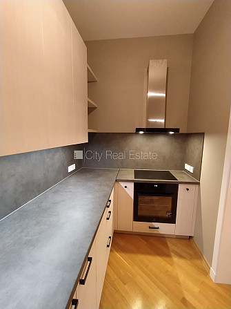 Земля в собственности, фасадный дом, реновированный дом, поменянное покрытие Рига - изображение 4