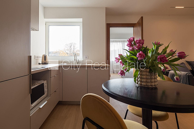 Земля в собственности, кирпичные стены, благоустроенная озеленённая территория, Юрмала - изображение 8