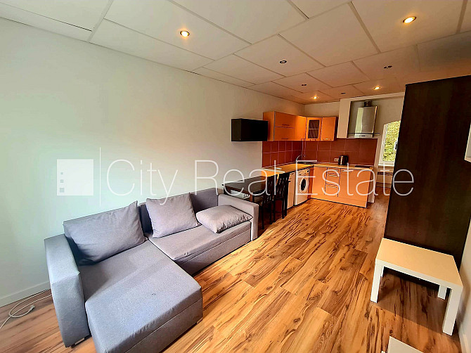 Фасадный дом, благоустроенная озеленённая территория, вход со двора, студио, Рижский район - изображение 3