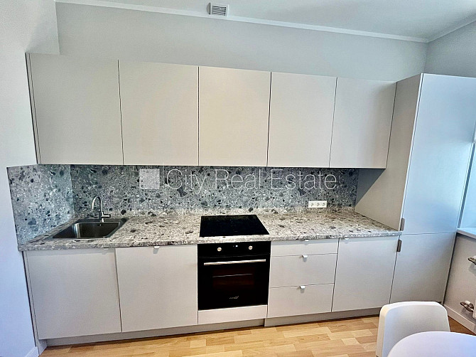 Фасадный дом, реновированный дом, благоустроенная озеленённая территория, вход с Рига - изображение 4