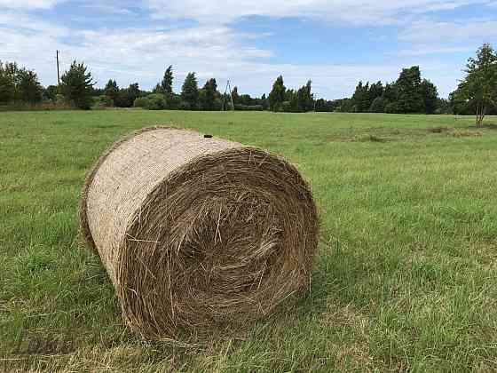 Investīciju objekts pie jūras  43,64 ha ar elektrības pieslēgumu
Pārdod četrus blakus esošus zemes g Лиепая