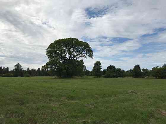 Investīciju objekts pie jūras  43,64 ha ar elektrības pieslēgumu
Pārdod četrus blakus esošus zemes g Лиепая