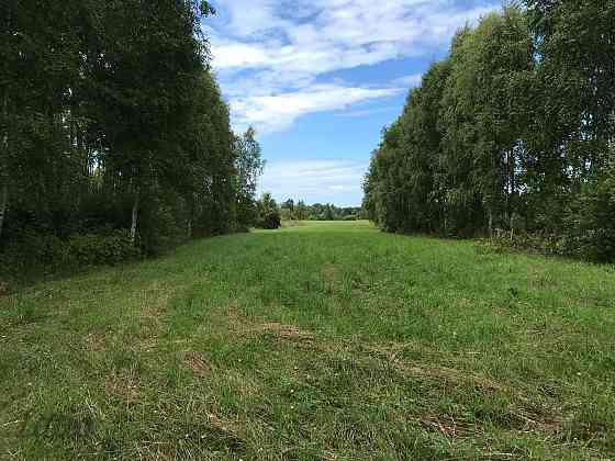 Investīciju objekts pie jūras  43,64 ha ar elektrības pieslēgumu
Pārdod četrus blakus esošus zemes g Лиепая