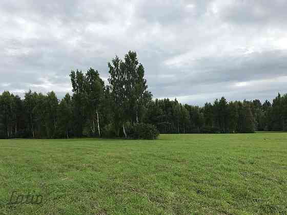 Investīciju objekts pie jūras  43,64 ha ar elektrības pieslēgumu
Pārdod četrus blakus esošus zemes g Лиепая