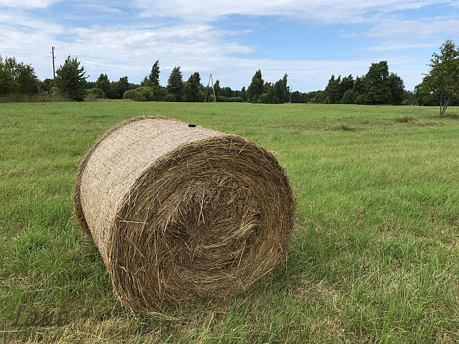 Investīciju objekts pie jūras  43,64 ha ar elektrības pieslēgumu
Pārdod četrus blakus esošus zemes g Лиепая - изображение 3