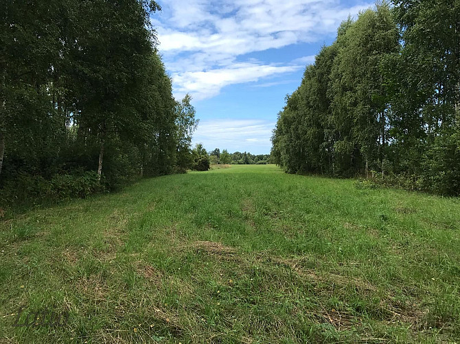 Investīciju objekts pie jūras  43,64 ha ar elektrības pieslēgumu
Pārdod četrus blakus esošus zemes g Лиепая - изображение 5