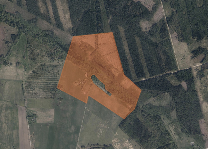 Pārdošanā lauku īpašums Talsu novadā  49,89 ha ar dzīvojamo māju, tikai 1 km no Vīdales! Talsi un novads - foto 8