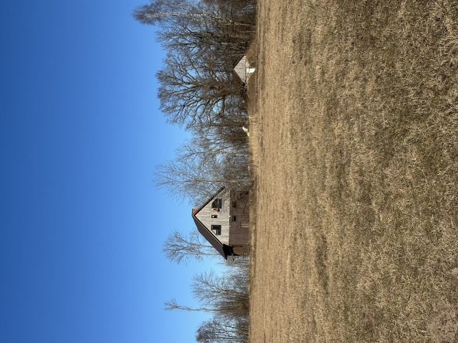 Pārdošanā lauku īpašums Talsu novadā  49,89 ha ar dzīvojamo māju, tikai 1 km no Vīdales! Talsi un novads - foto 7