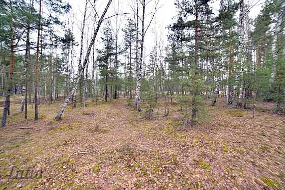 Pārdod privātmāju apbūves zemesgabalu Vecdaugavā, Brīzes iela 58. Zemesgabals atmežojams no priedēm  Рига