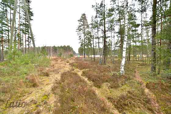 Pārdod privātmāju apbūves zemesgabalu Vecdaugavā, Brīzes iela 58. Zemesgabals atmežojams no priedēm  Рига