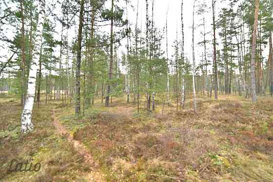 Pārdod privātmāju apbūves zemesgabalu Vecdaugavā, Brīzes iela 58. Zemesgabals atmežojams no priedēm  Рига