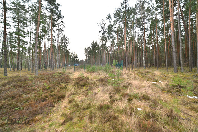 Pārdod privātmāju apbūves zemesgabalu Vecdaugavā, Brīzes iela 58. Zemesgabals atmežojams no priedēm  Рига - изображение 4