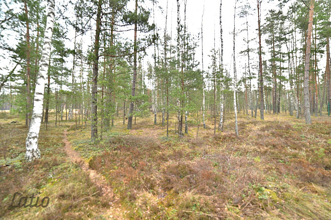 Pārdod privātmāju apbūves zemesgabalu Vecdaugavā, Brīzes iela 58. Zemesgabals atmežojams no priedēm  Рига - изображение 3