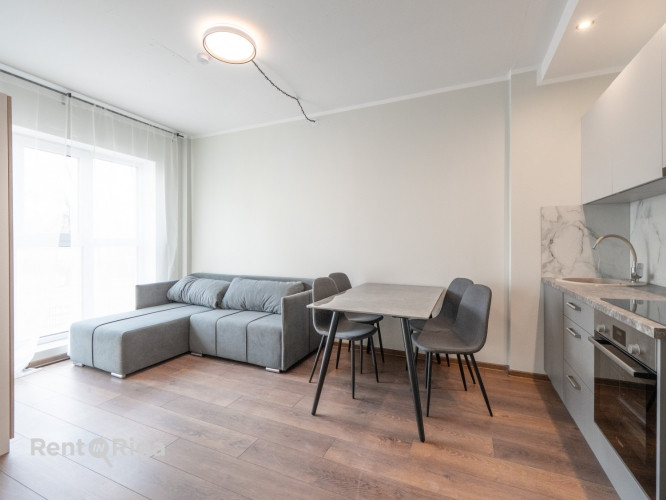 Pieejams plašs un gaišs 2 istabu dzīvoklis ar ērtu plānojumu. Dzīvoklis ir pilnībā Rīga - foto 3