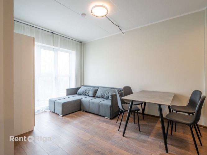 Pieejams plašs un gaišs 2 istabu dzīvoklis ar ērtu plānojumu. Dzīvoklis ir pilnībā Rīga - foto 1