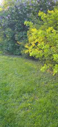 Dārzs pieejams, kamēr ir sludinājums.Skaista vieta, tuvu Salu tilts, peldvieta, atpūtas... Rīga