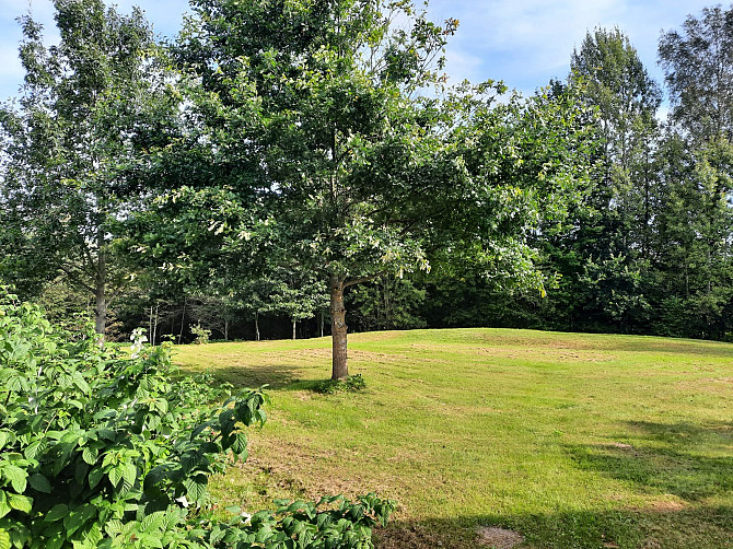 Pārdod skaistu, sakoptu lauku īpašumu gleznainā vietā, mazas upītes krastā. Labs variants... Огре - изображение 6