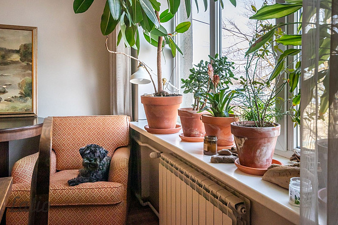 Pārdod 3 istabu dzīvokli Rīgas centrā ar skaistu skatu uz Daugavu.

Dzīvoklis ir kvalitatīvi remontē Рига - изображение 4