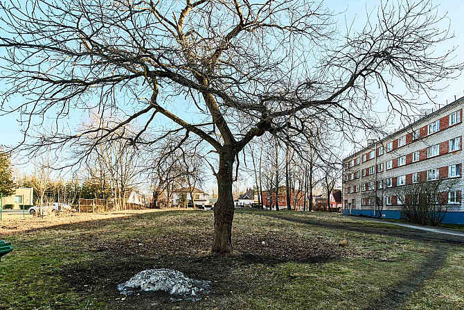 Izcils investīciju objekts klusā Rīgas rajonā.

Pārdošanā 1872 m zemes gabals privātai Rīga - foto 5