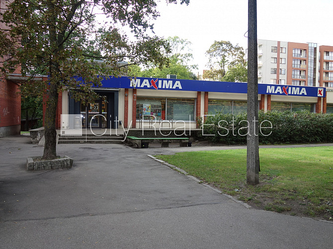 Paneļu māja, labiekārtota apzaļumota teritorija, ieeja no ielas, teritorijas stāvlaukums Rīga - foto 12