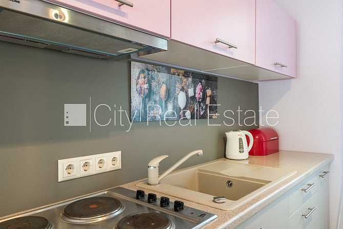 Fasādes māja, labiekārtota apzaļumota teritorija, studio tipa, virtuve apvienota ar istabu, Rīga - foto 6