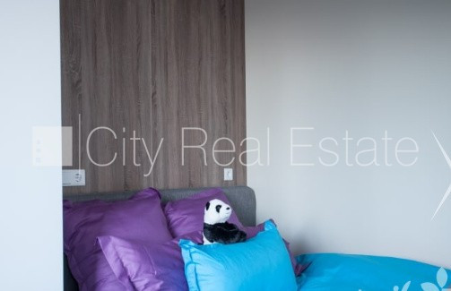 Renovēta māja, labiekārtota apzaļumota teritorija, vieta automašīnai, studio tipa, virtuve Rīga - foto 7