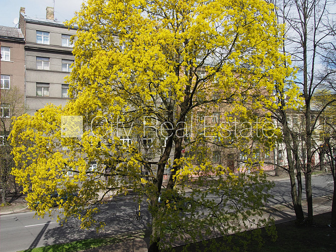 Fasādes māja, labiekārtota apzaļumota teritorija, iežogota teritorija, ieeja no pagalma, logi Rīga - foto 20