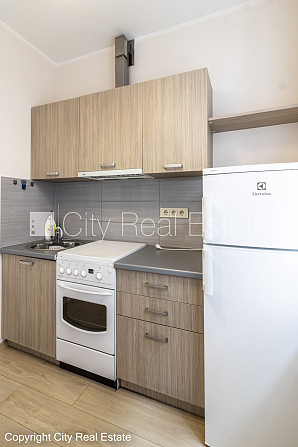 Фасадный дом, реновированный дом, благоустроенная озеленённая территория, вход с Рига - изображение 8