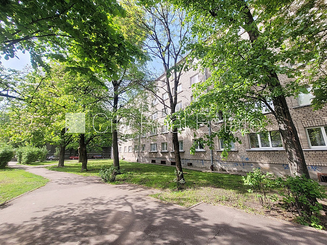 Zaļā teritorija, bezmaksas stāvvieta pagalmā, kāpņu telpa pēc kosmētiskā remonta, logi Rīga - foto 18