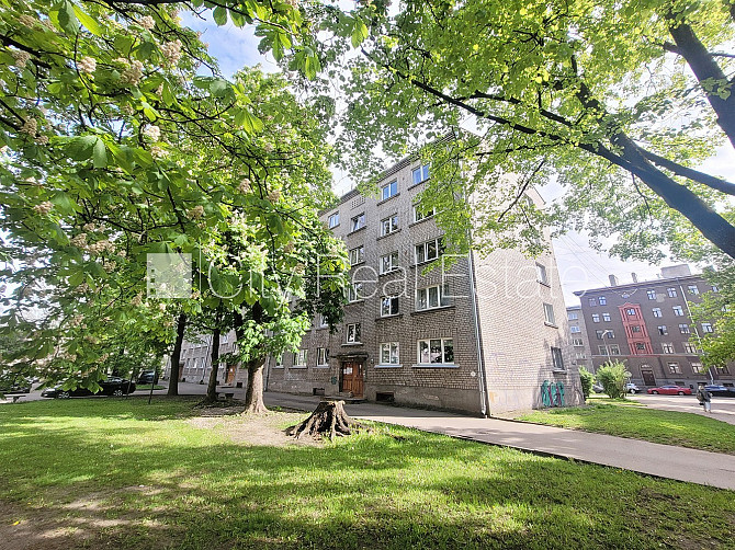 Zaļā teritorija, bezmaksas stāvvieta pagalmā, kāpņu telpa pēc kosmētiskā remonta, logi Rīga - foto 19