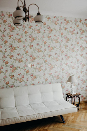 Фасадный дом, реставрированный дом, благоустроенная озеленённая территория, Рига - изображение 13