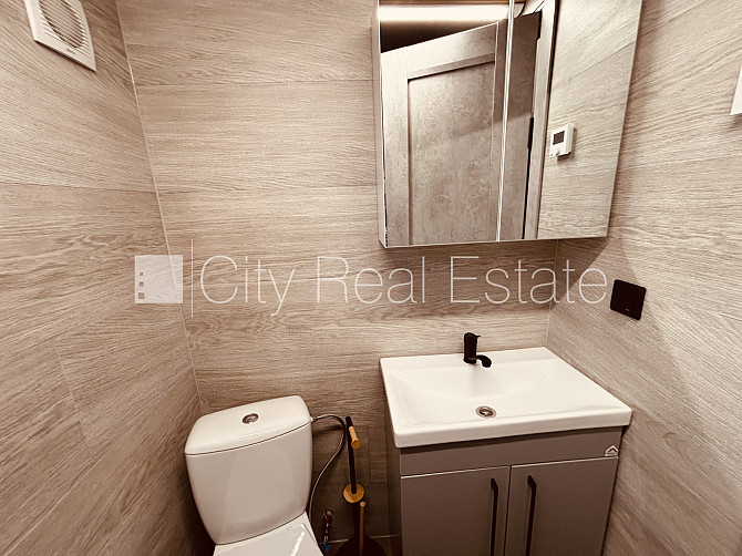 Частный дом, благоустроенный озеленённый двор, территория обнесена железным Рига - изображение 10