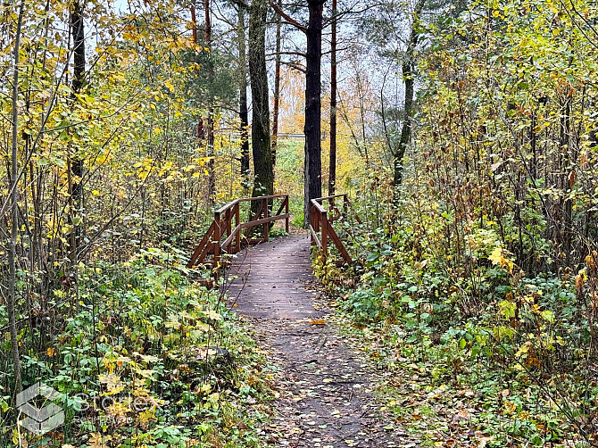 Pārdod 1/2 domājamo daļu jeb 2.03 ha no zemes gabala ar kopējo platību 4.06 ha Ādažos blakus Ādažu novads - foto 6