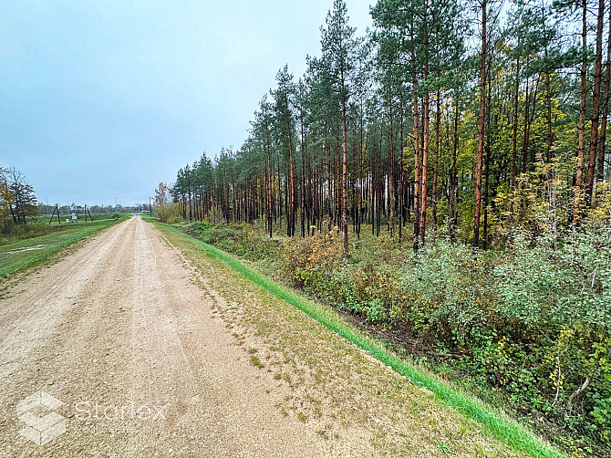 Pārdod 1/2 domājamo daļu jeb 2.03 ha no zemes gabala ar kopējo platību 4.06 ha Ādažos blakus Ādažu novads - foto 7