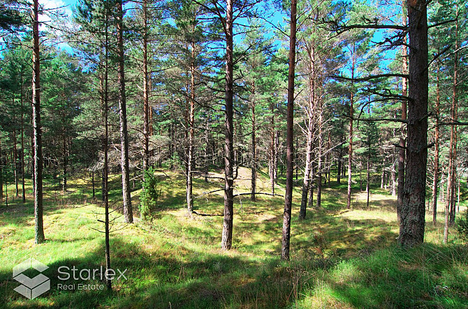 Pārdod zemes īpašumu ar kopējo platību 3,79 ha Mazirbē, pirmajā līnijā no jūras. Lielisks Talsi un novads - foto 13