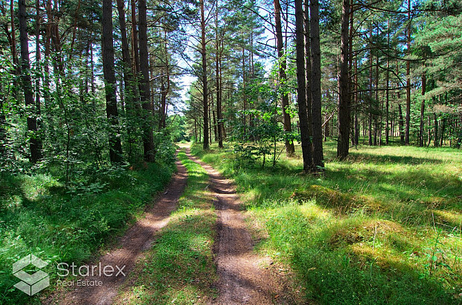 Pārdod zemes īpašumu ar kopējo platību 3,79 ha Mazirbē, pirmajā līnijā no jūras. Lielisks Talsi un novads - foto 9