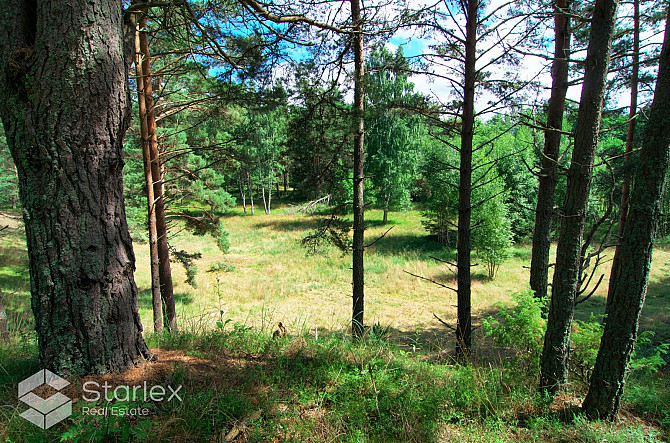 Pārdod zemes īpašumu ar kopējo platību 3,79 ha Mazirbē, pirmajā līnijā no jūras. Lielisks Talsi un novads - foto 14