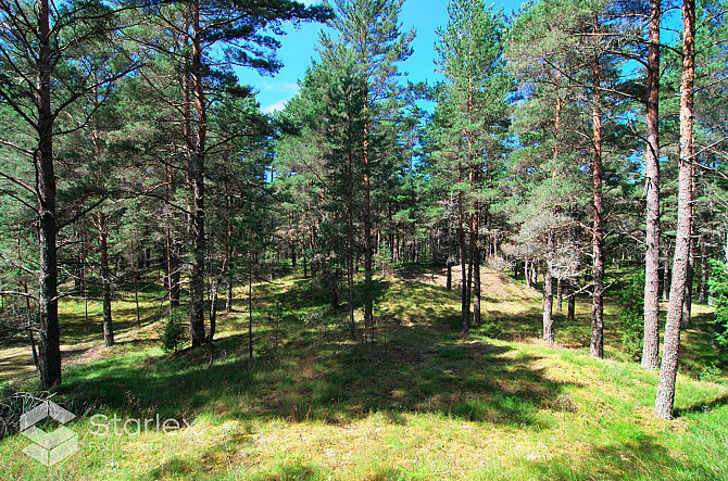 Pārdod zemes īpašumu ar kopējo platību 3,79 ha Mazirbē, pirmajā līnijā no jūras. Lielisks Talsi un novads - foto 12
