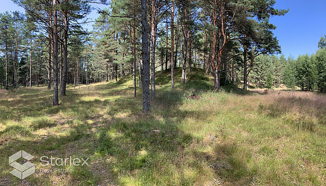 Pārdod zemes īpašumu ar kopējo platību 3,79 ha Mazirbē, pirmajā līnijā no jūras. Lielisks Talsi un novads - foto 10