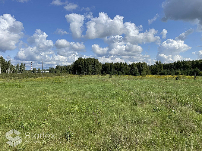 Pārdod plašu zemes gabalu Stopiņu novada, Rumbulā Getliņu iela 19 ( Apiņi).
Īpašuma Rīgas rajons - foto 1