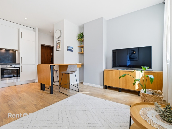 Īrei pieejams praktisks un mūsdienīgs 2-istabu dzīvoklis Rīgas centrā.  Dzīvoklim ir Rīga - foto 1