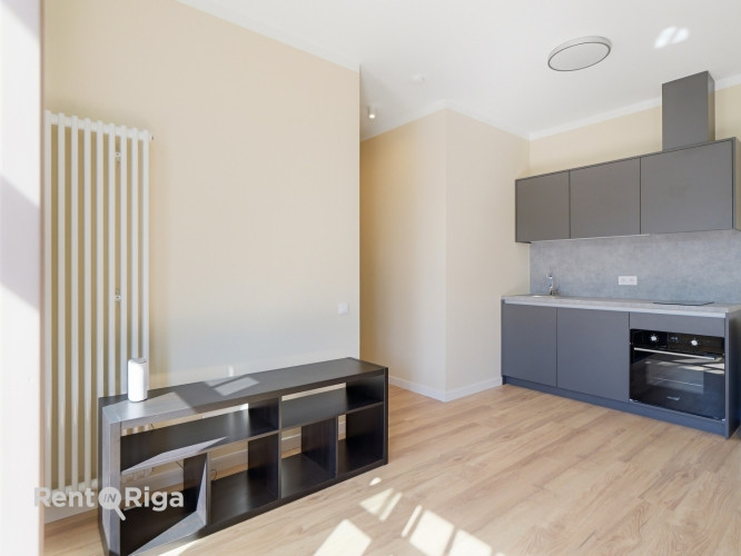 Меблированная 2-комнатная квартира в центре Риги.  Адрес: улица Кришьяня Рига - изображение 8