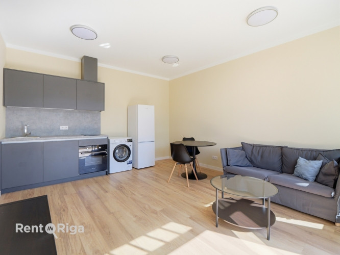 Меблированная 2-комнатная квартира в центре Риги.  Адрес: улица Кришьяня Рига - изображение 6
