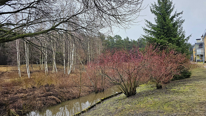 2 istabu dzīvoklis Mežaciems projektā ar balkonu.
Izīrē gaišu, siltu un mājīgu 2 istabu dzīvokli... Рига - изображение 8