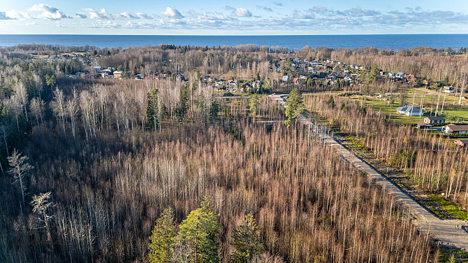 Ziemeļvidzemes biosfēras rezervāta teritorijā, tikai 58 km attālumā no Rīgas centra un 900 metru att Лимбажи и район - изображение 2